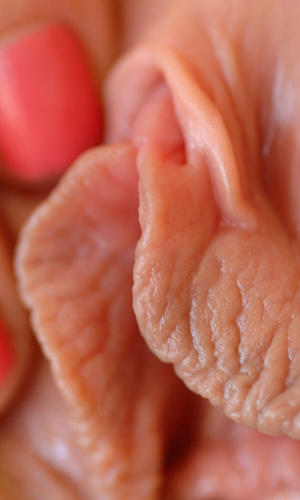 ฝรั่งหีชมพู 12