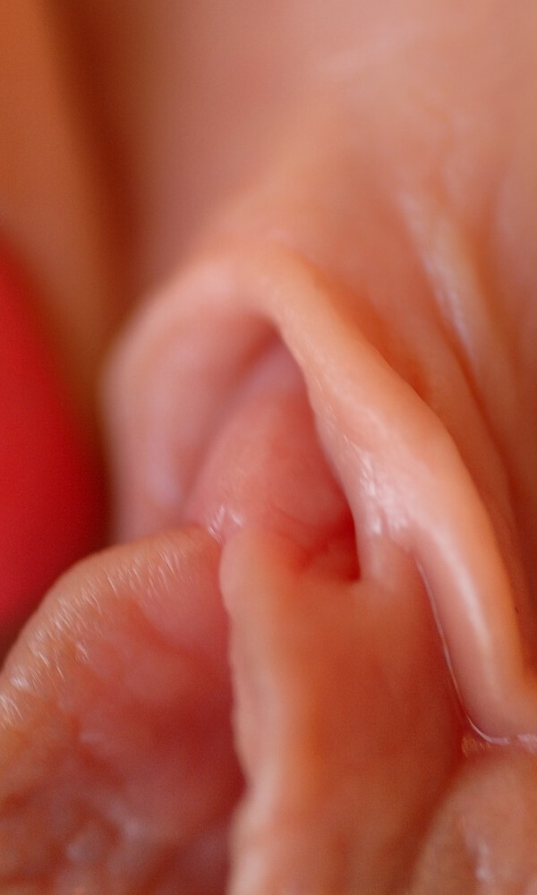 ฝรั่งหีชมพู 13